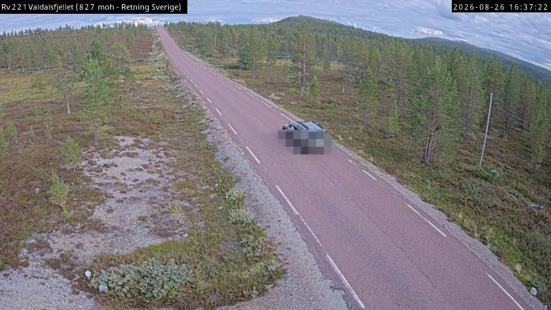 Valdalsfjellet, retning Sverige