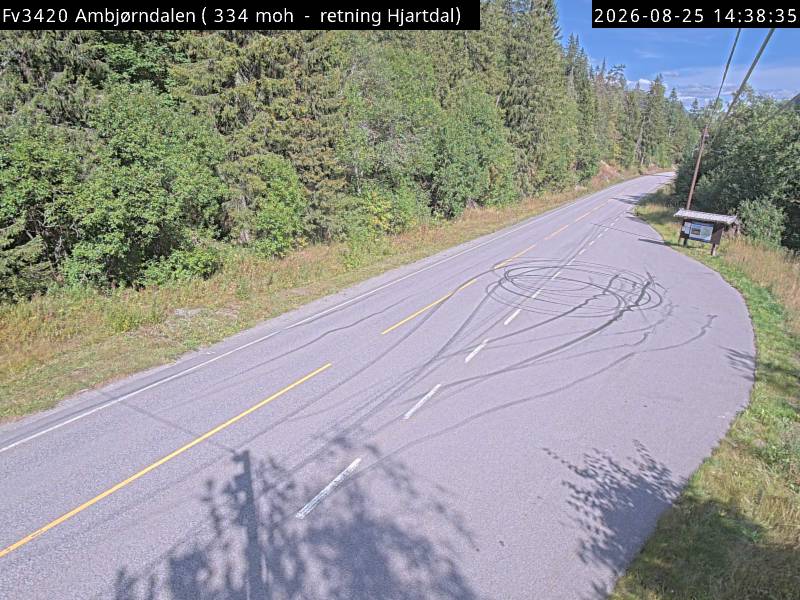 Ambjørndalen, retning Hjartdal