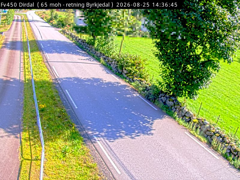 Dirdal, retning Byrkjedal