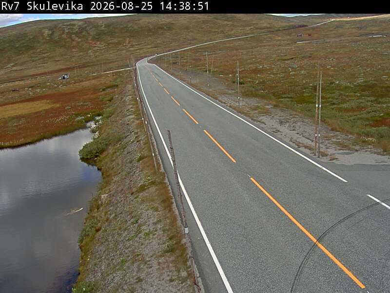 Skulevika, retning Geilo
