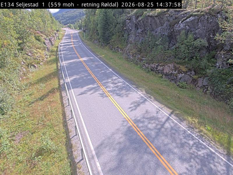 Seljestad v/kontrollstasjon, retning Røldal