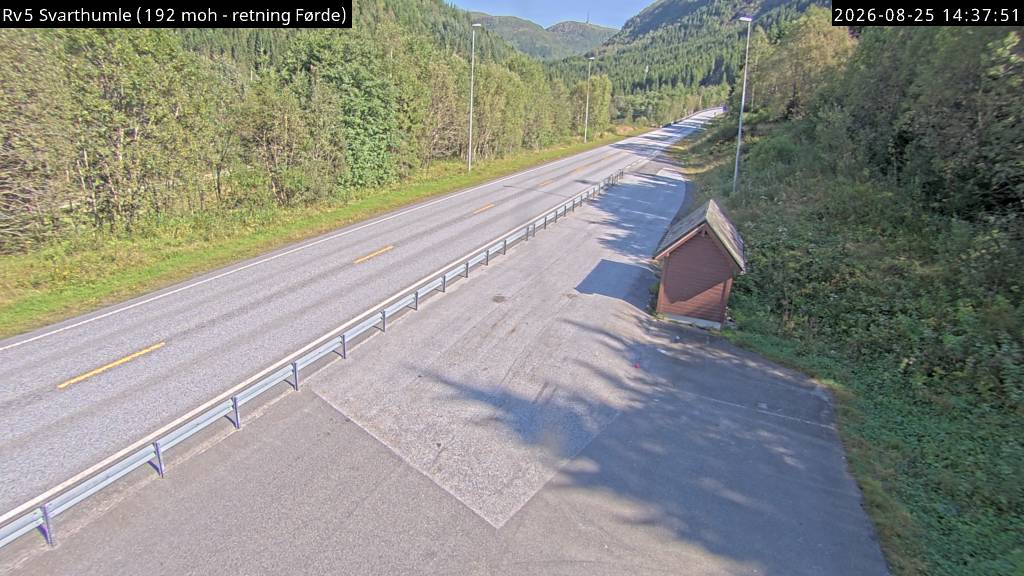 Svarthumle, retning Førde