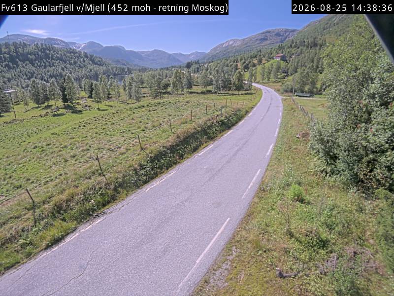 Gaularfjell v/Mjell, retning Eldalsosen
