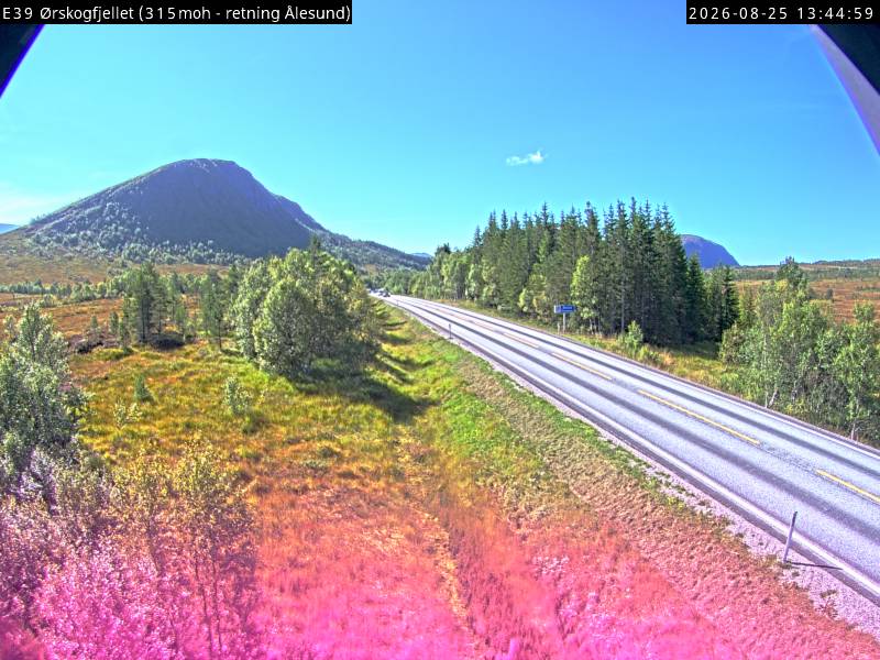 Ørskogfjellet, retning Vestnes