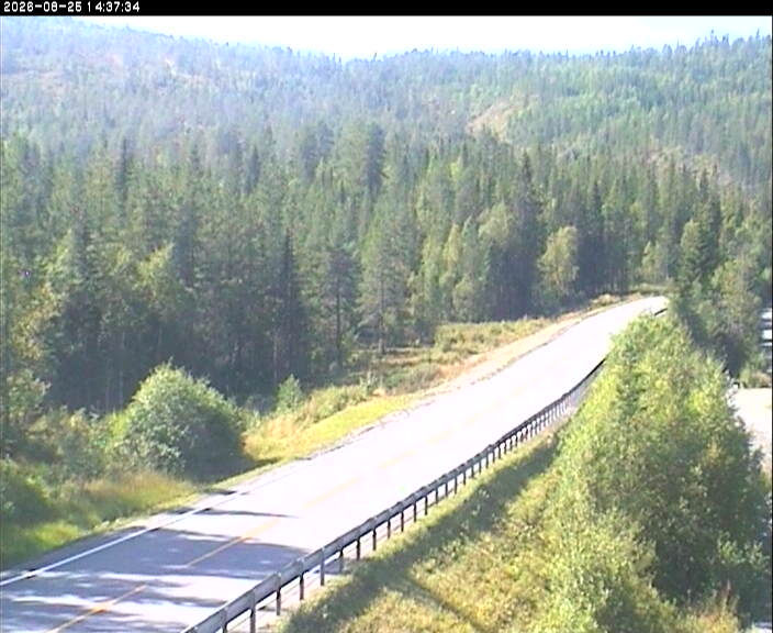 Selbuskogen, retning Stjørdal