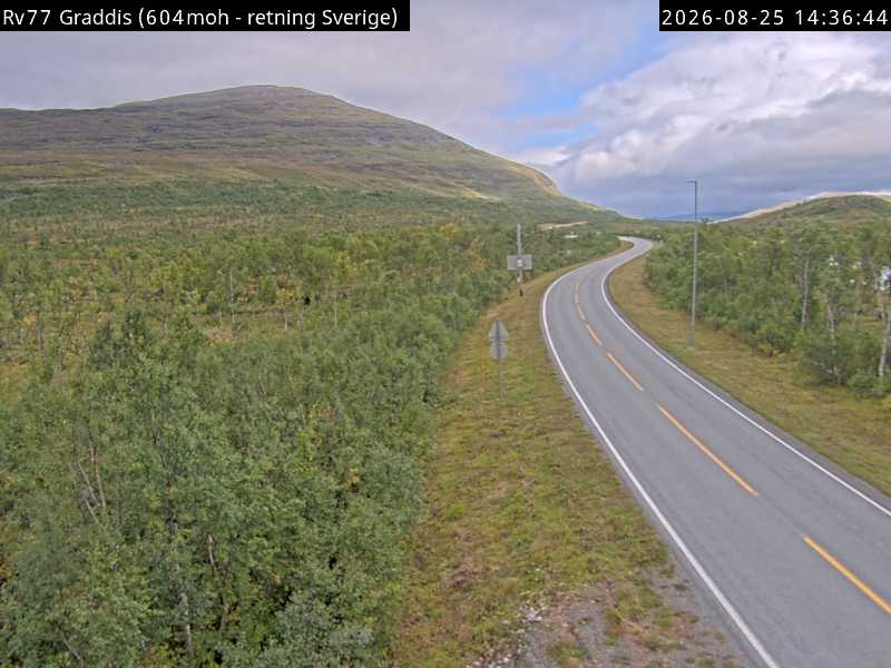 Graddis, retning Sverige