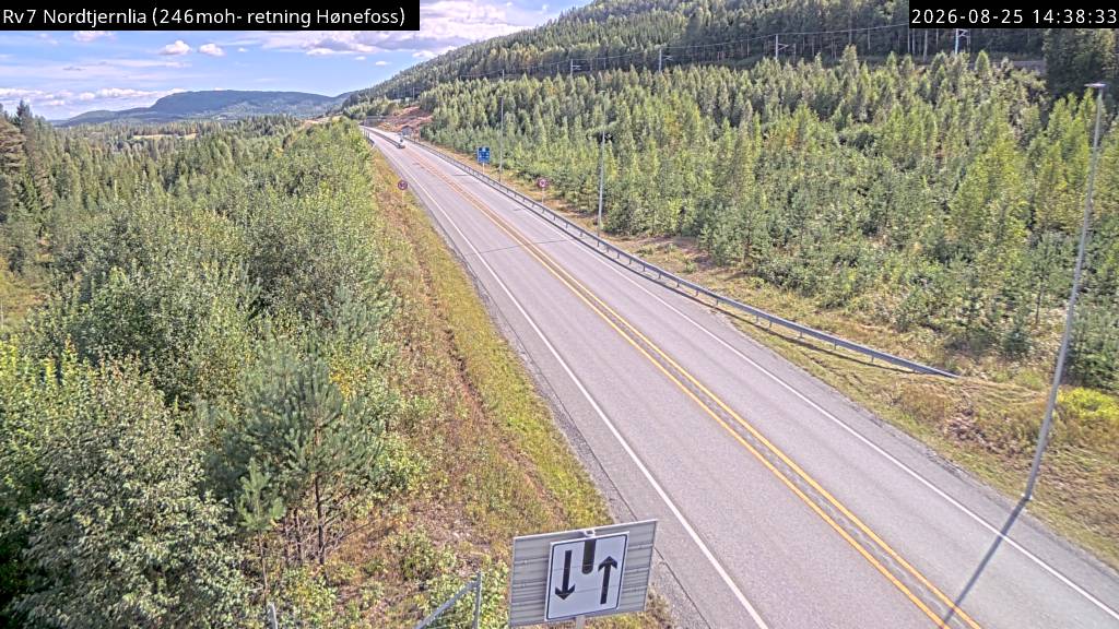 Nordtjernlia, retning mot Sokna
