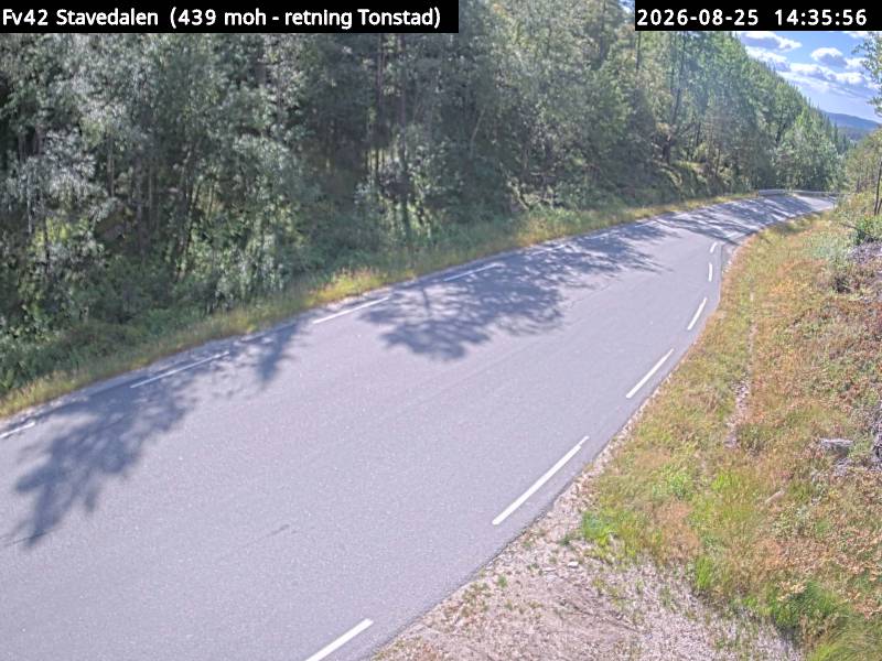 Stavedalen, retning Sveindal