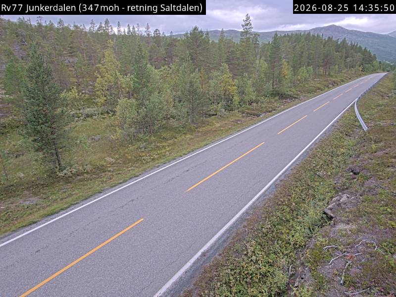 Junkerdalen, retning Saltdalen