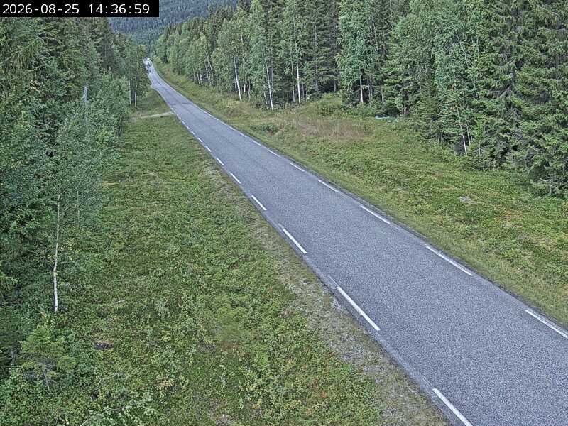 Skardmodalen, retning Hattfjelldal