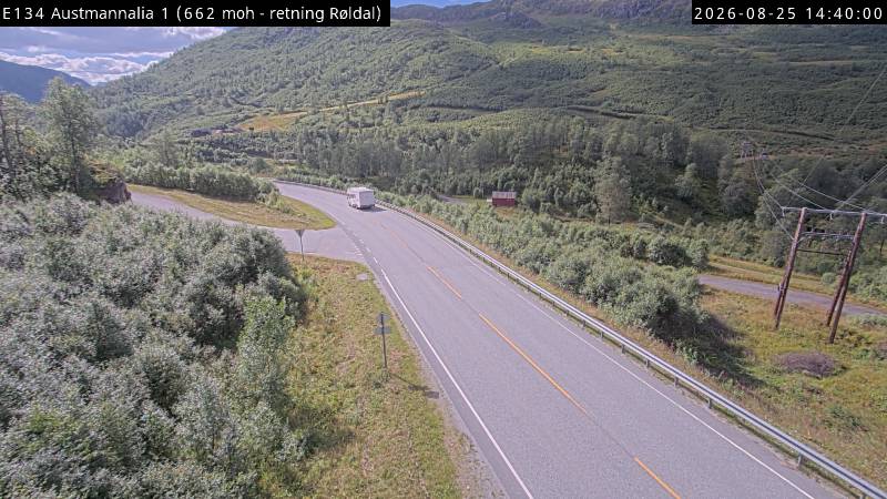 Austmannalia, retning Røldal